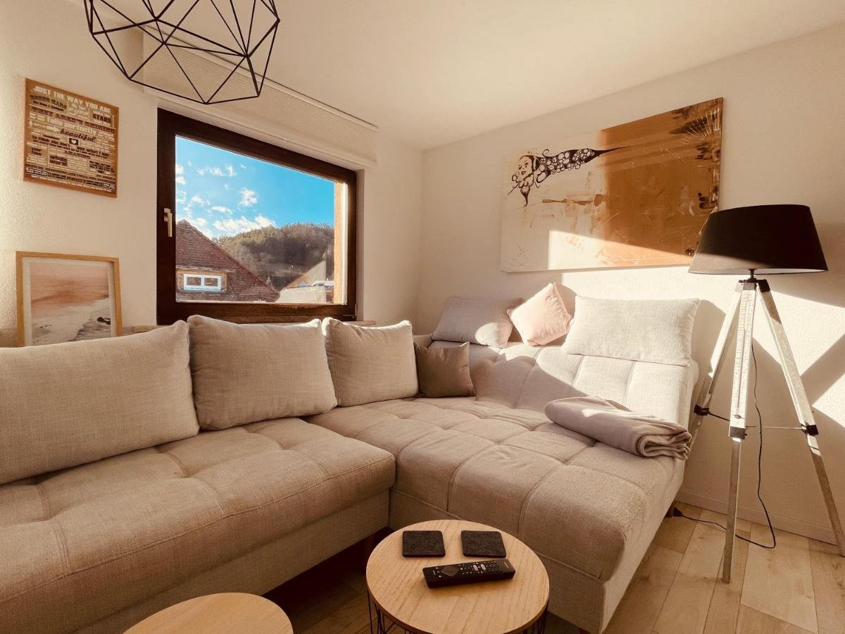 Ar Apartments I 4 Pers I Prime I Kueche I Wlan I Office Rudolstadt Ngoại thất bức ảnh